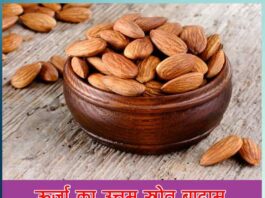 How To Make Palak Saag Recipe at Home - Sachi Shiksha